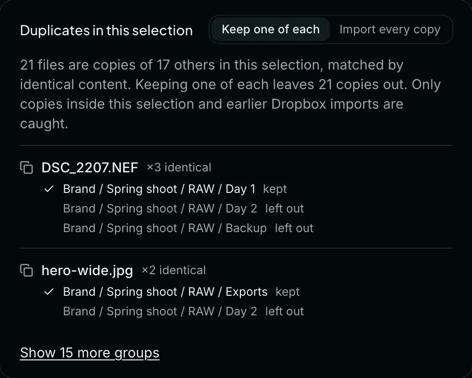 The Duplicates in this selection panel, set to Keep one of each. Two groups of identical files are listed, with one copy marked kept and the others marked left out.